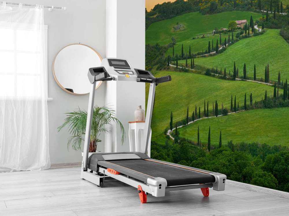 Svingete vei med sypresser