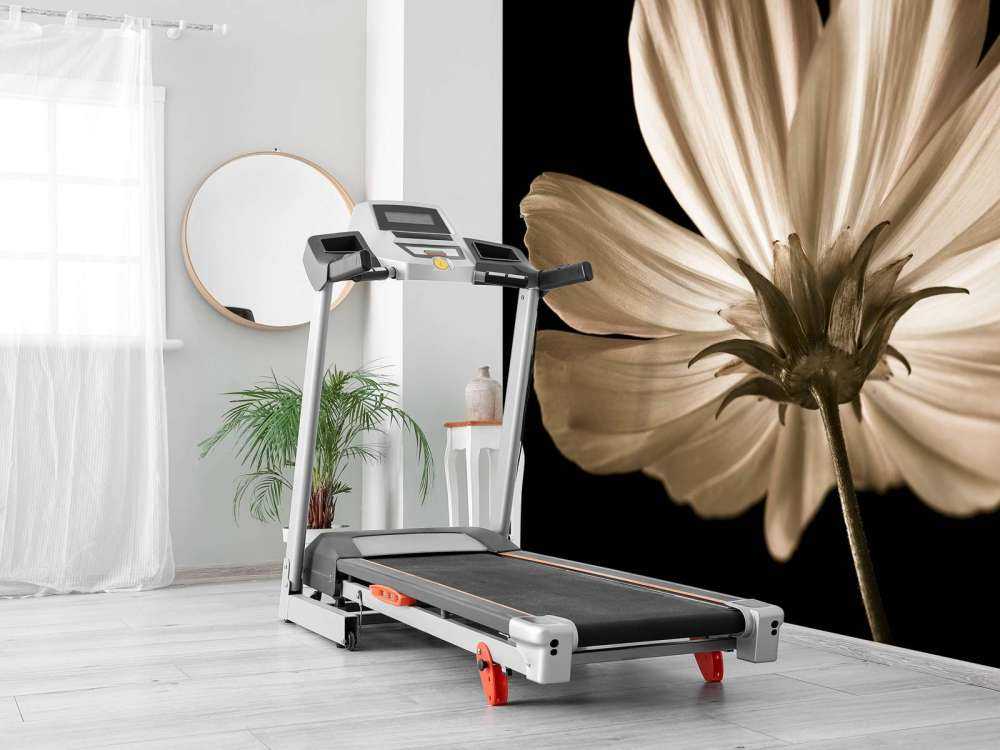 Kosmosblomst nedenfra