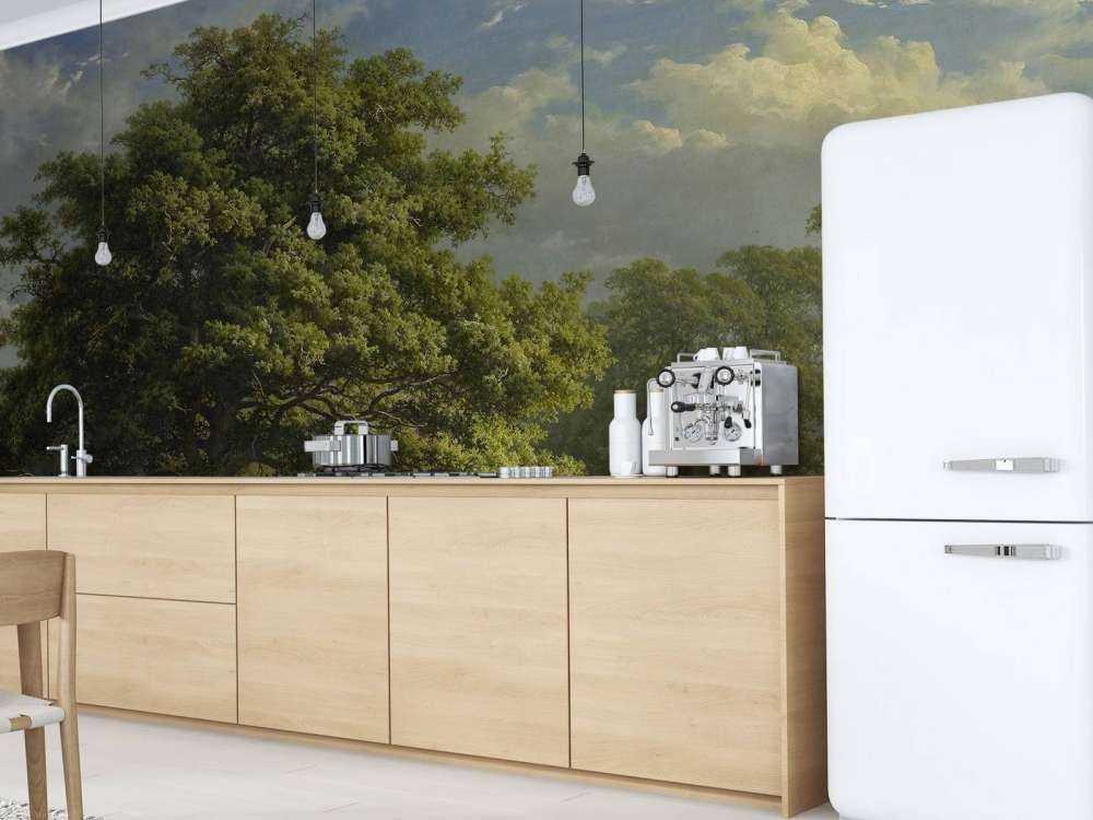 Utsikt over Bentheim-skogen