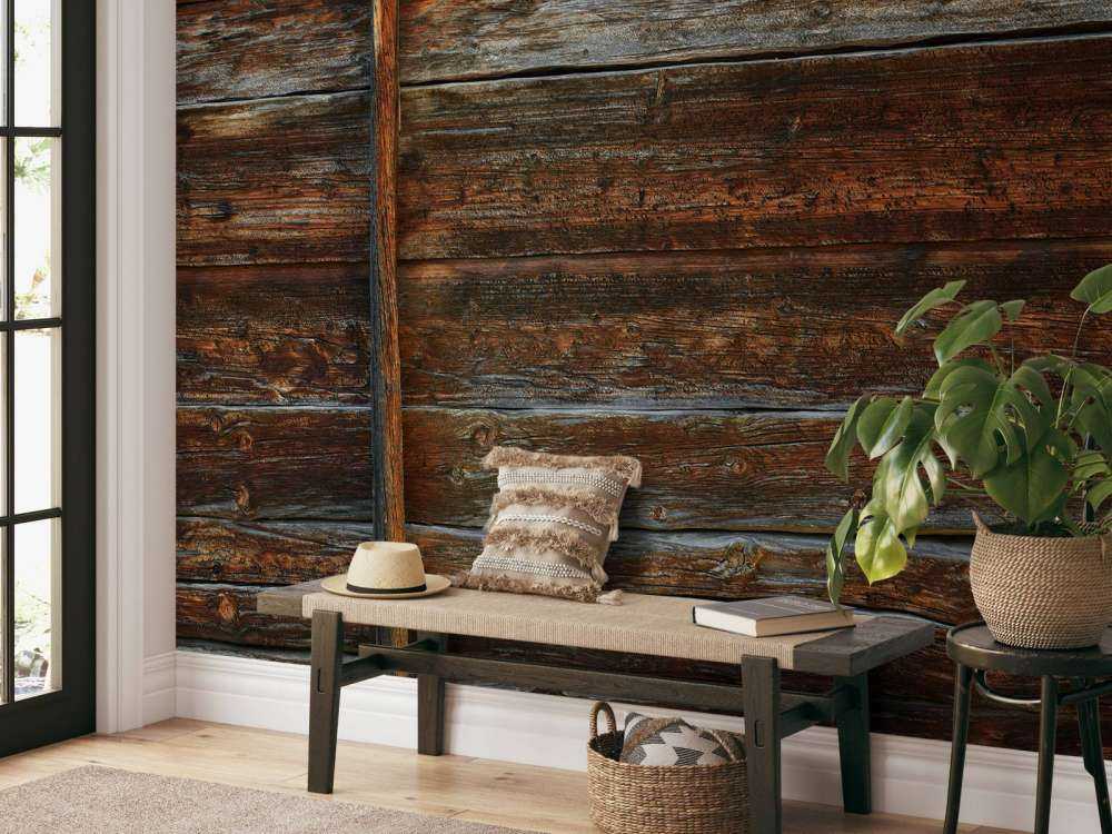 gamle tre med støtte strålen