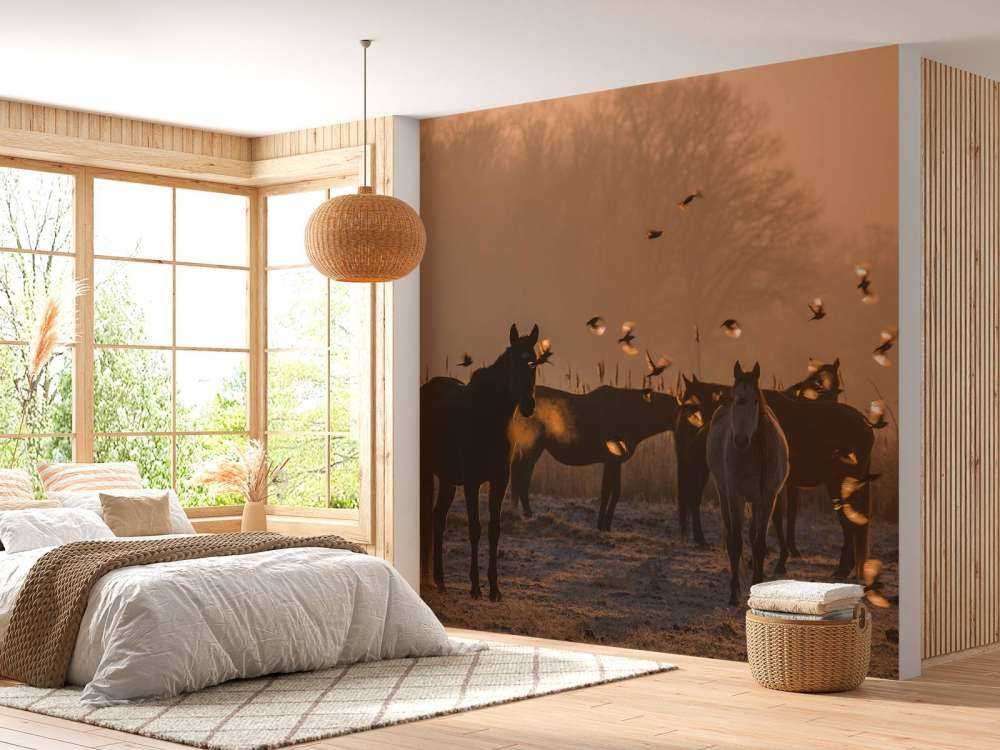 Wild horses