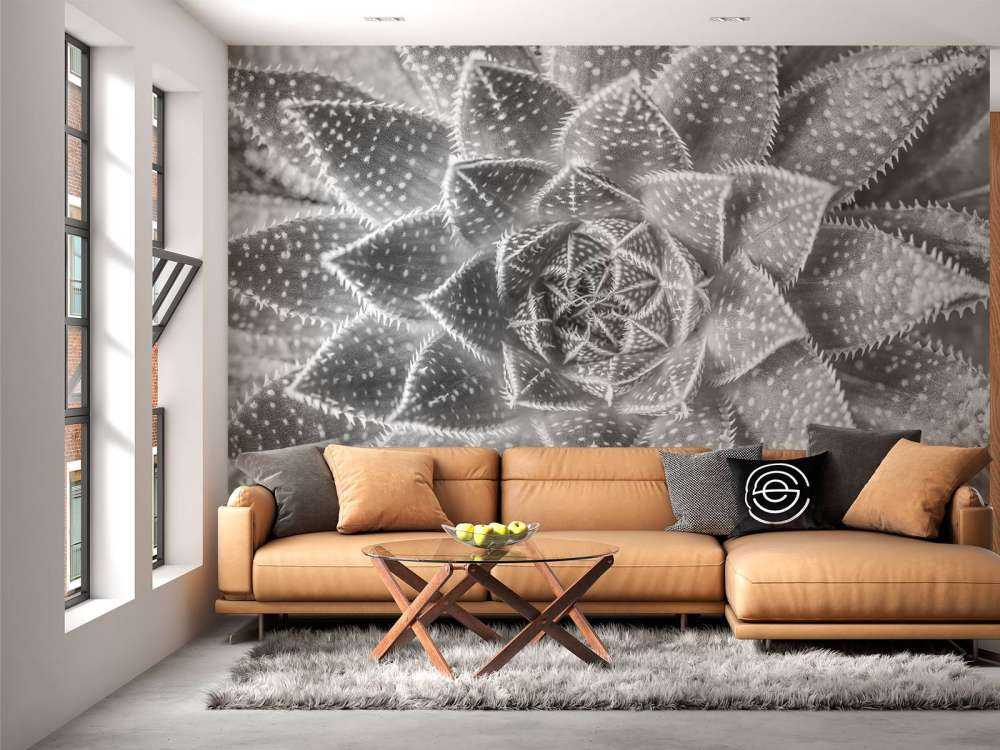 Nærbilde sukkulent plante