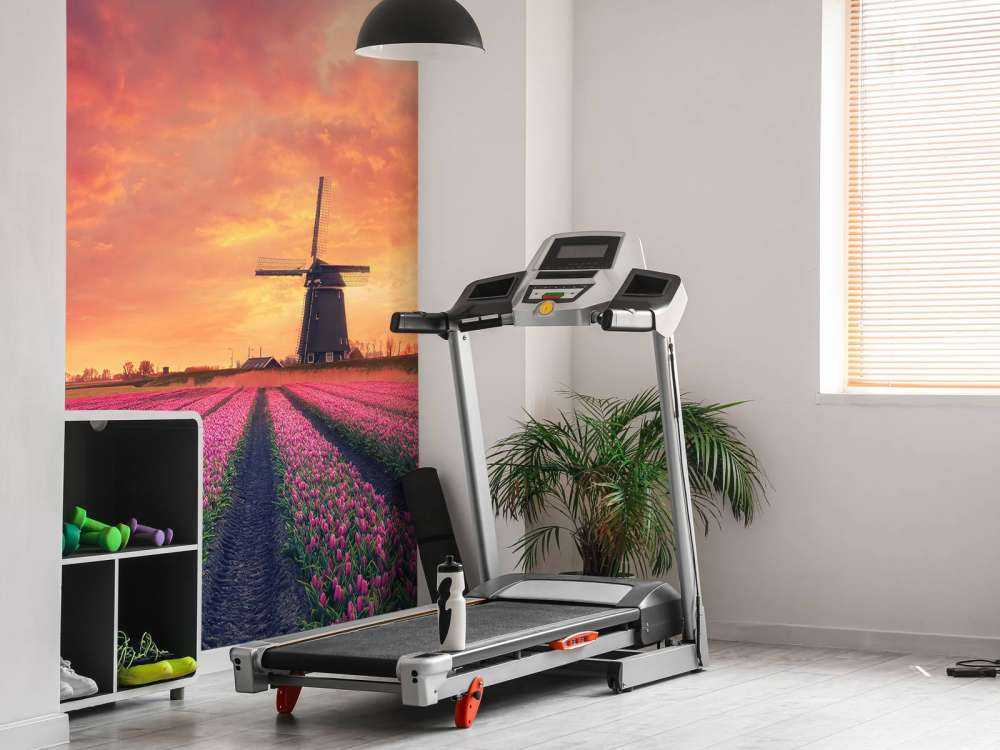 tulipanner med mølle