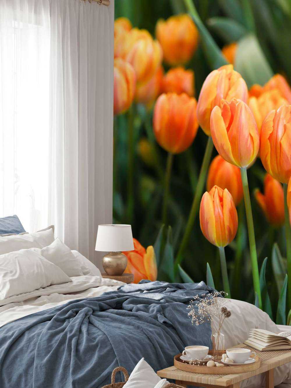Oransje tulipanner