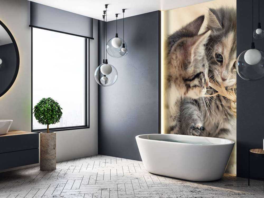 Leker kattunger