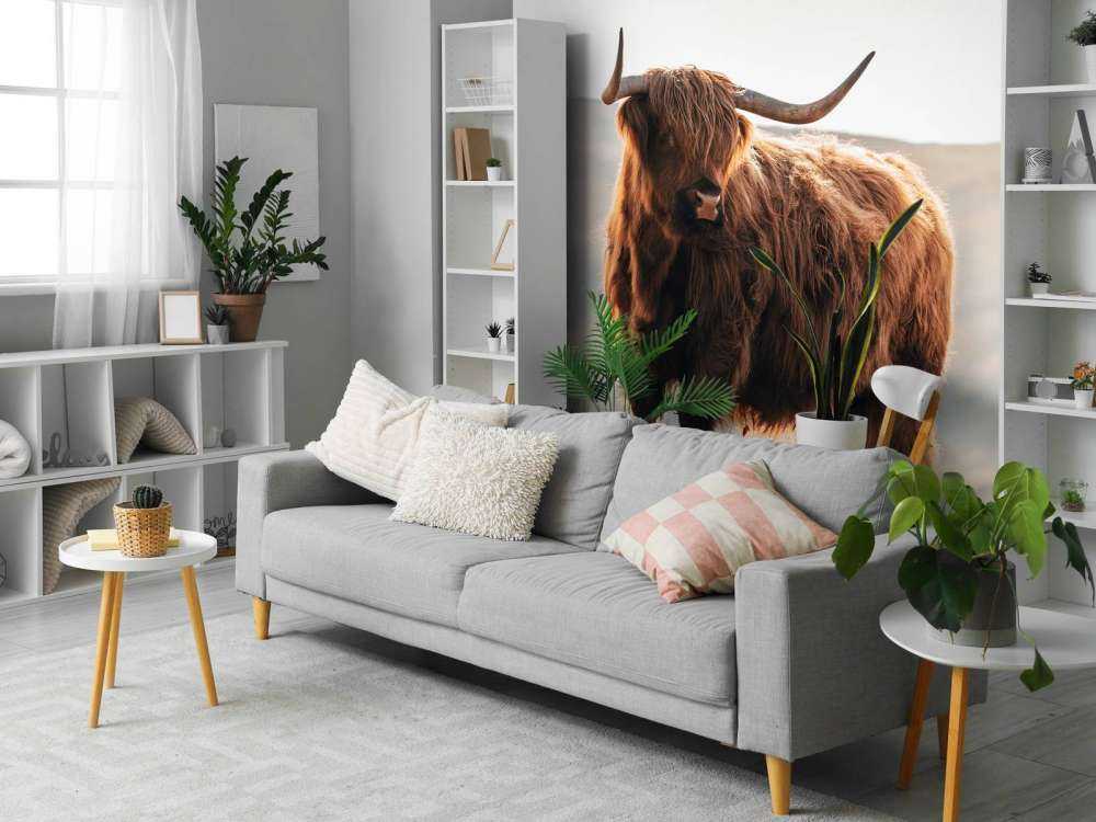 Det skotske høylandet på en høyde