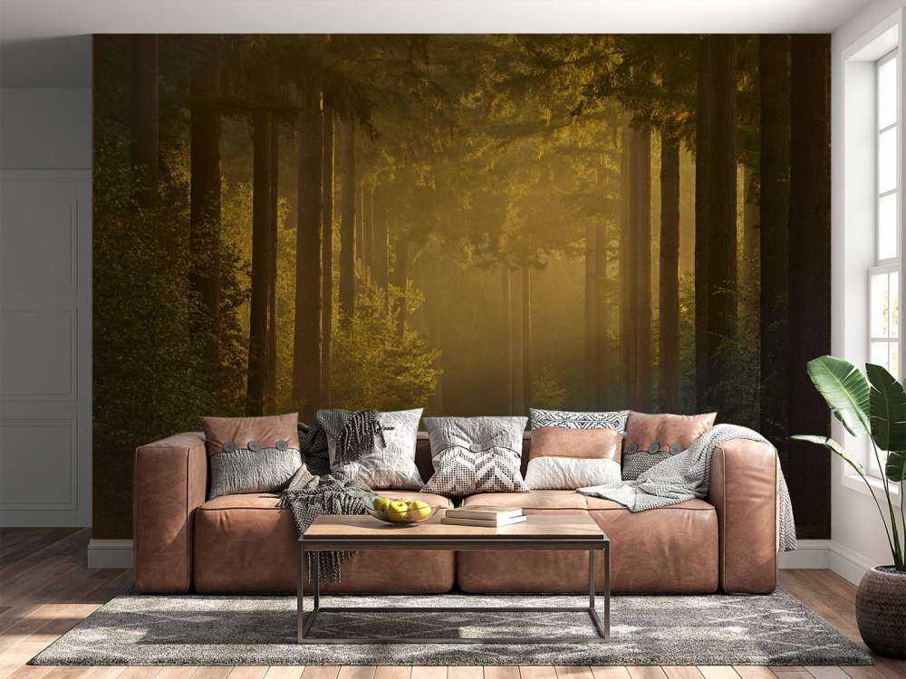 Soloppgang på vei gjennom skogen