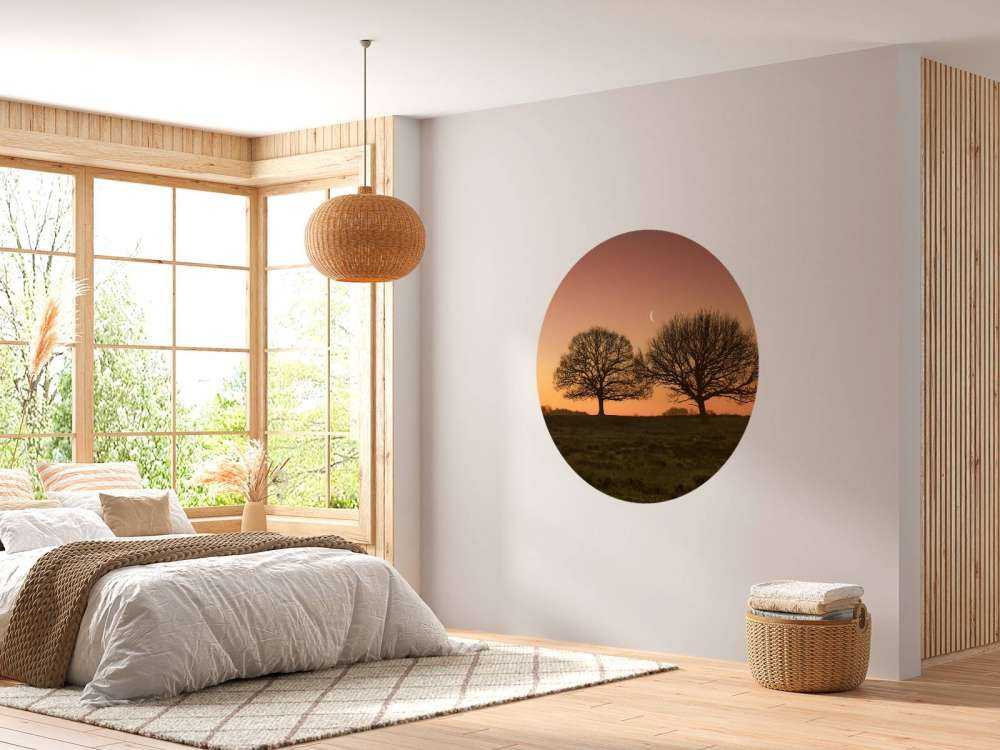 Maantje tussen de bomen