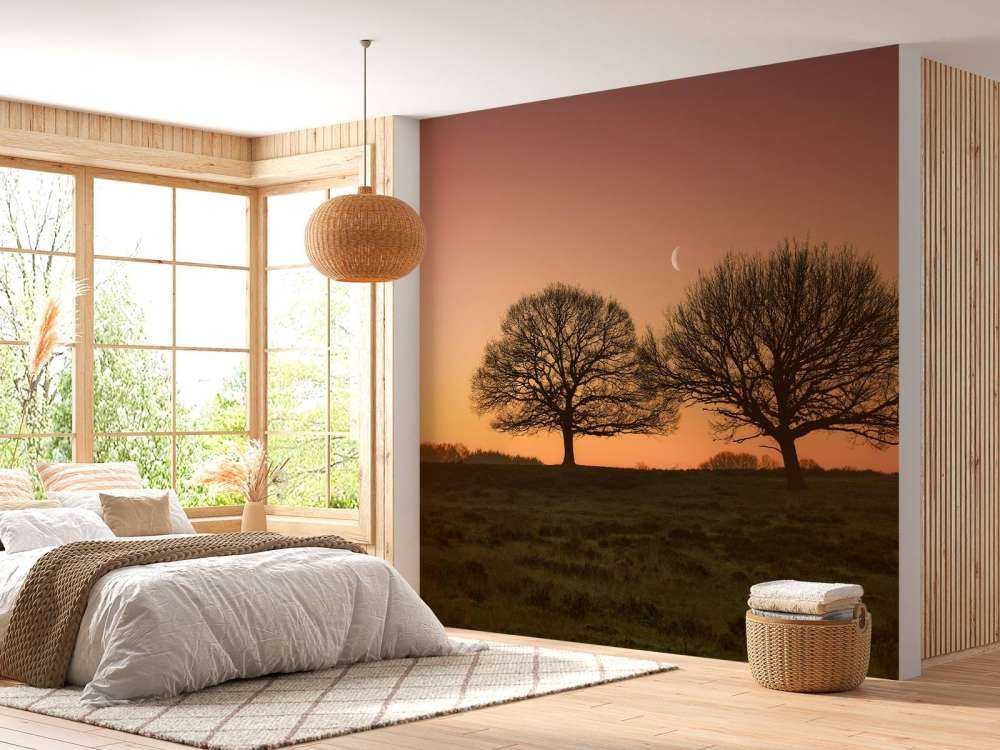 Maantje tussen de bomen