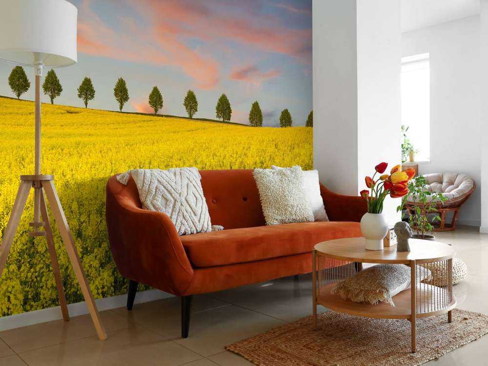 Åker full av gule blomster