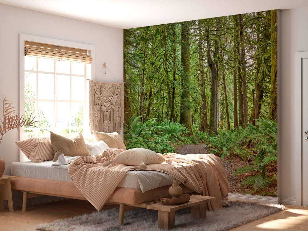 Sti med steiner gjennom skogen