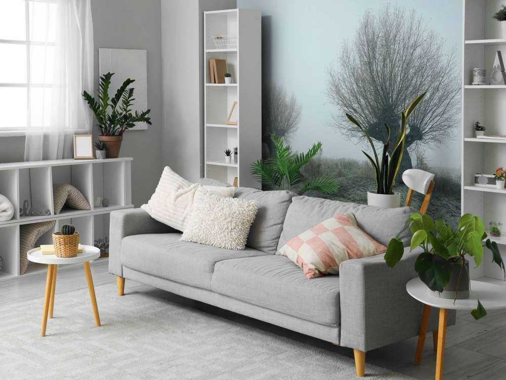 Pollard pil i tåken