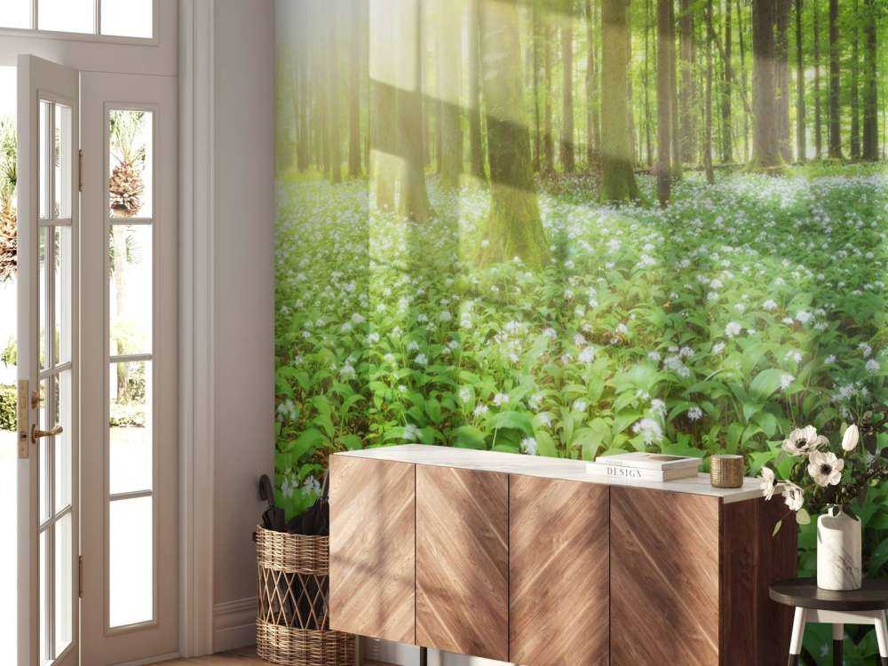 Vill skog ved soloppgang