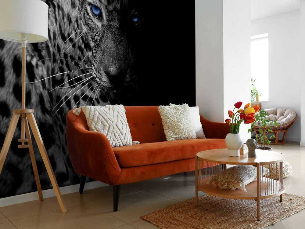 Leopard på svart tapet