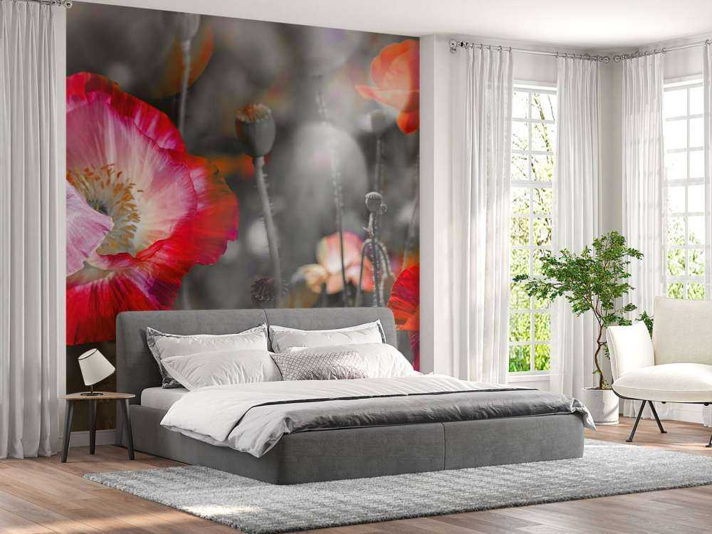 Valmuer i svart, hvitt, rødt