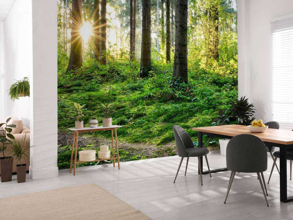 Skogpanorama om våren