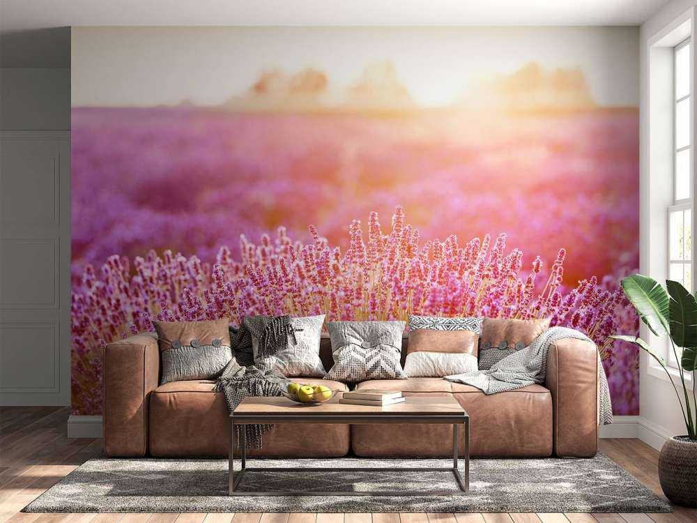 Nærbilde lavendelblomster