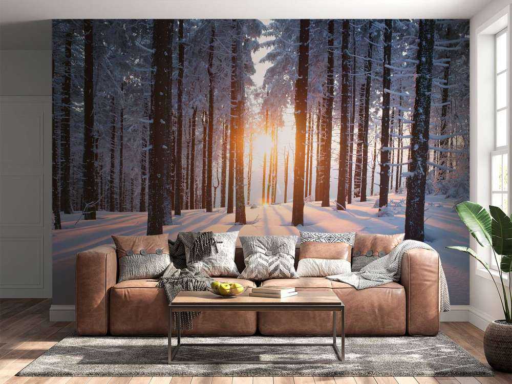 Solnedgang i en vinterskog