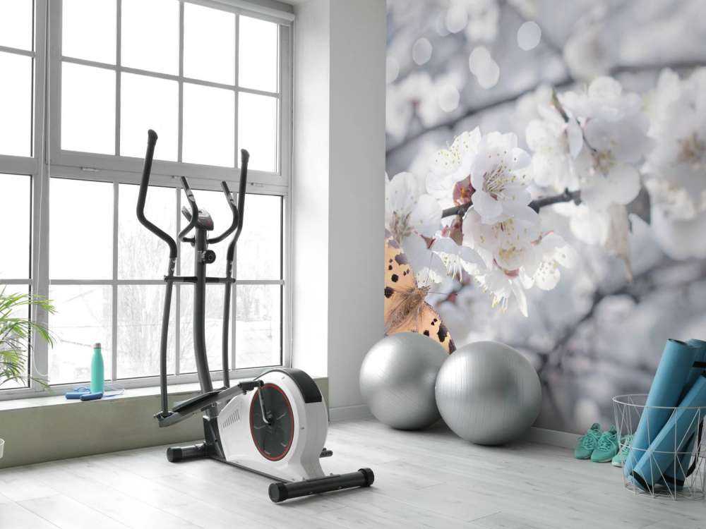 Sommerfugl med hvite blomster