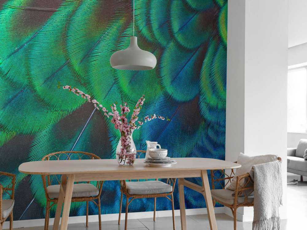 Nærbilde av påfuglfjær