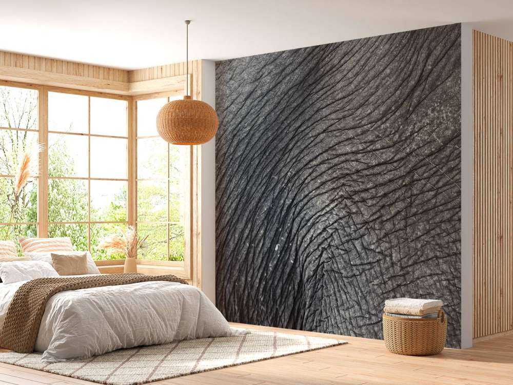 Nærbilde, av, elefant, skin