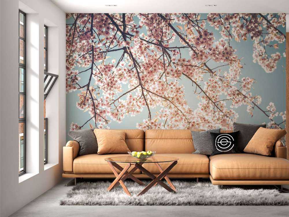 Kirsebærblomst
