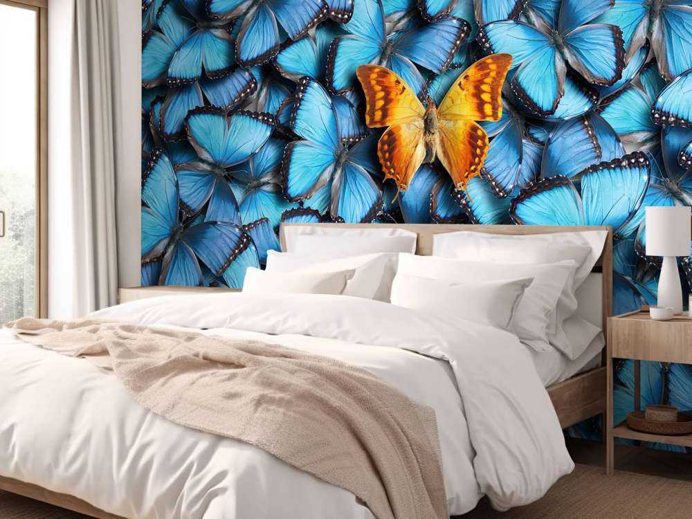 sommerfugl komposisjon