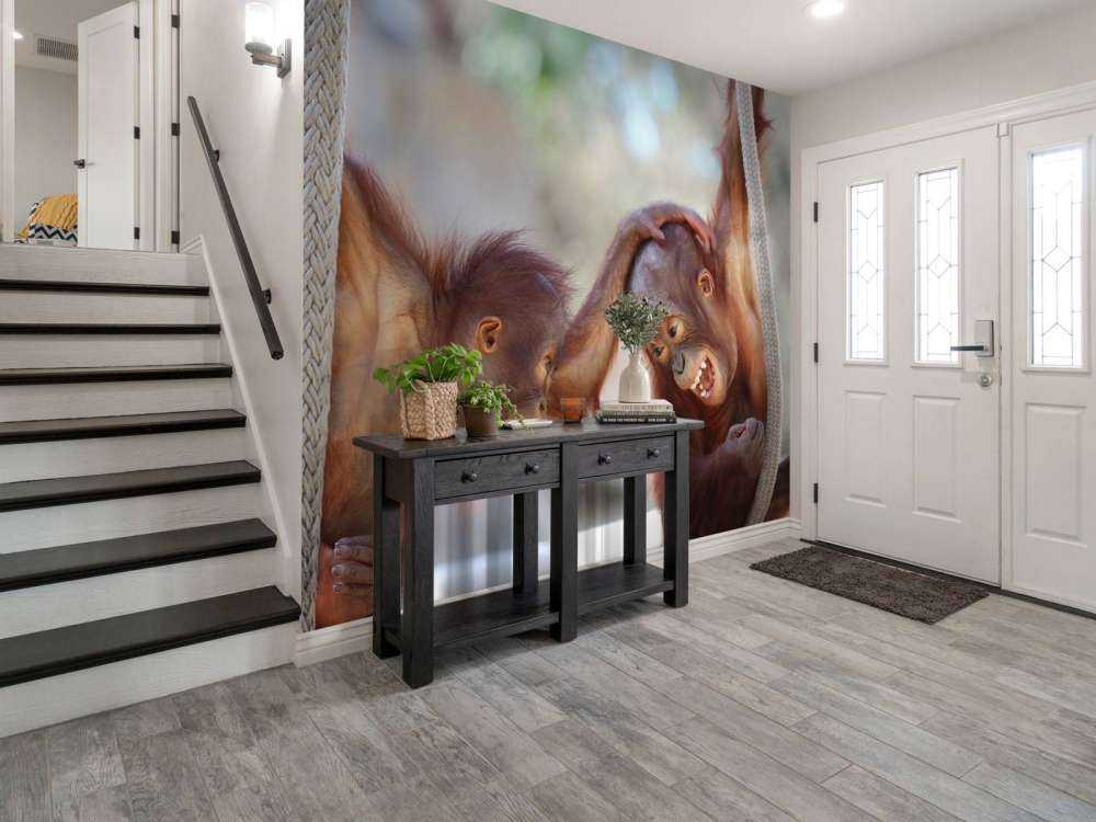 Baby orangutanger