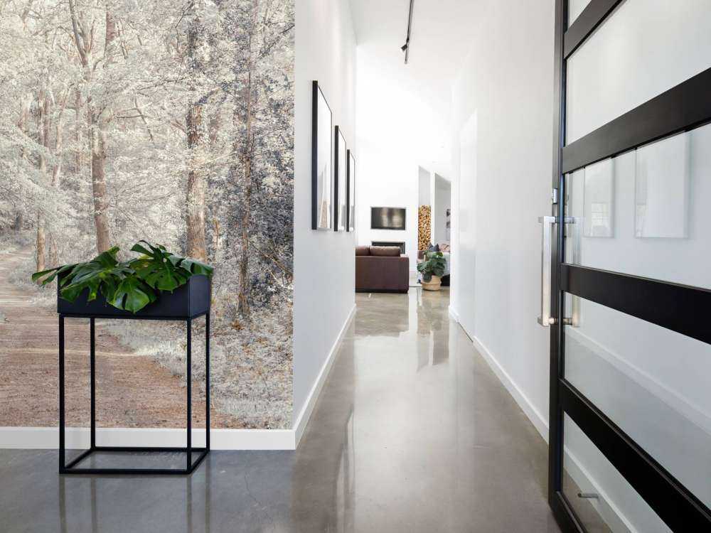 En sti gjennom en grønn skog