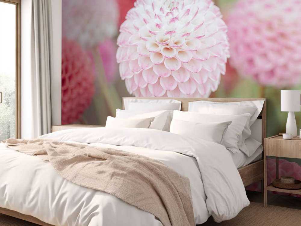 Rosa Dahlia Blomster