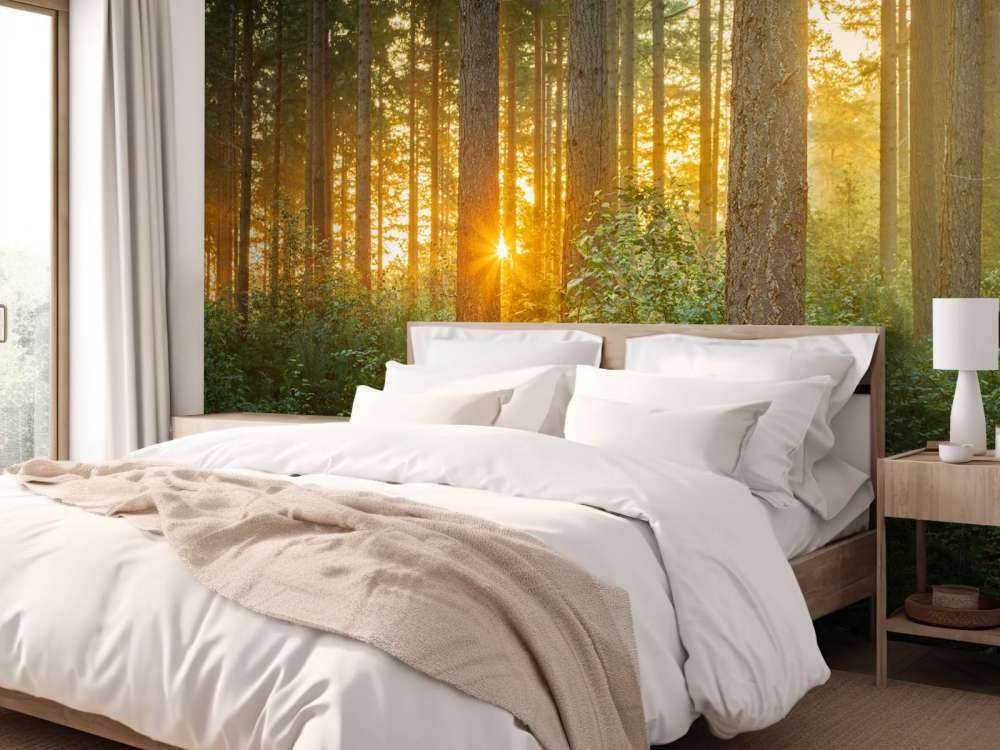 Solstråler i en barskog