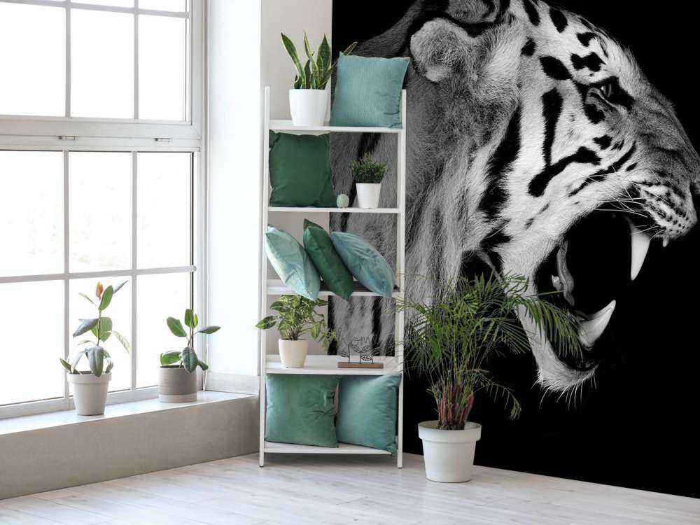 Brølende tiger svart