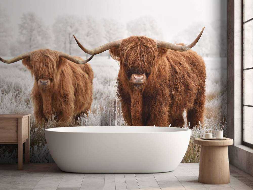 Vinter Høylandskveg