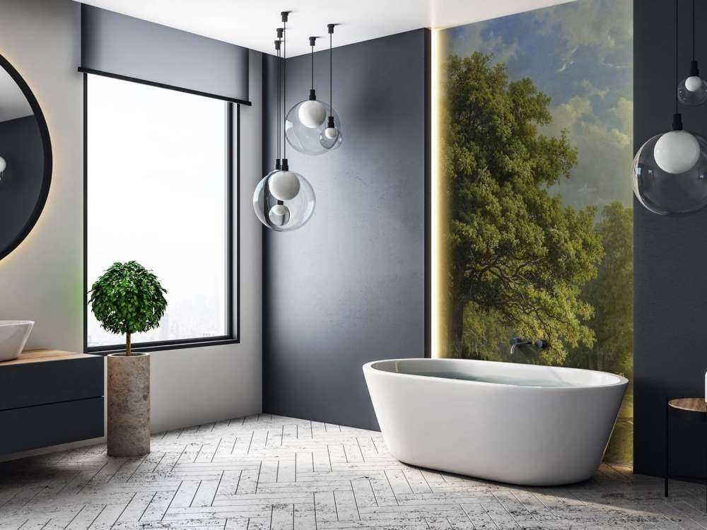 Utsikt over Bentheim-skogen