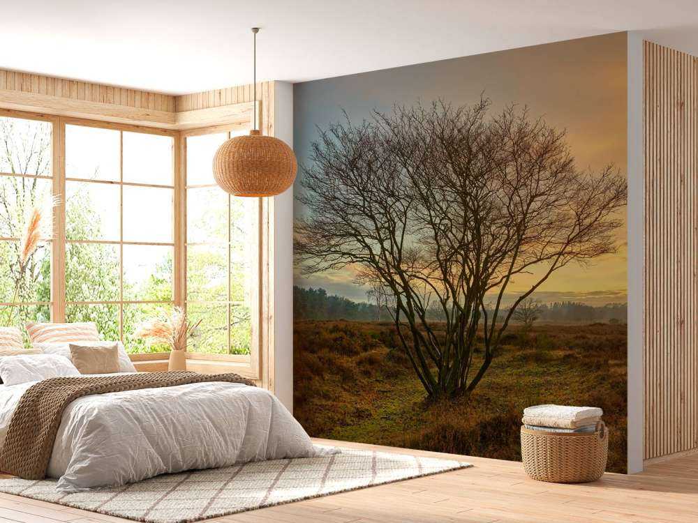 Soloppgang over heien