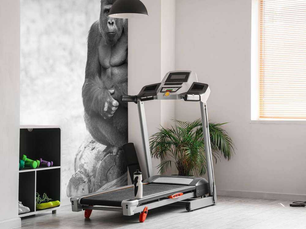 stor gorilla