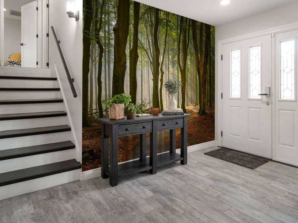 Solstråler på sti gjennom skogen