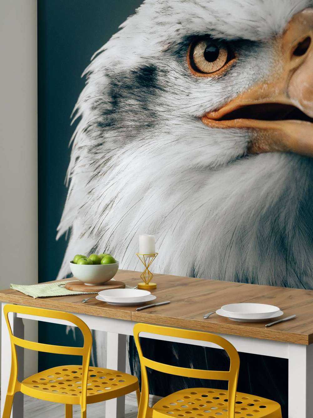 Stirrende Bald Eagle