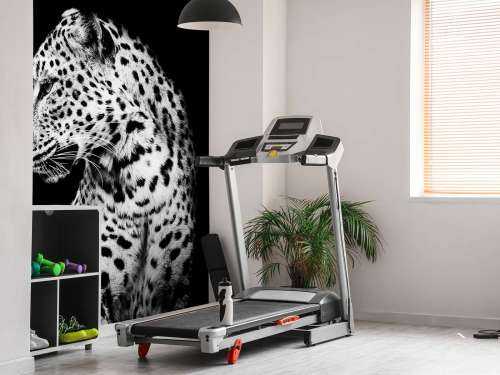 Dark Leopard
