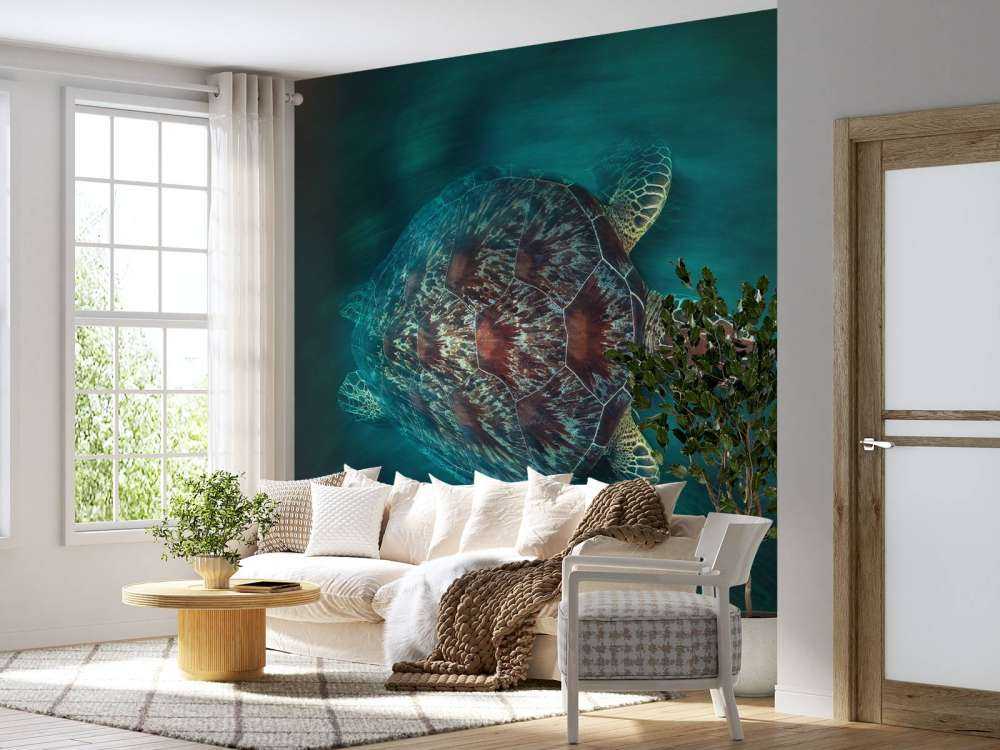 Vaclocity Turtle