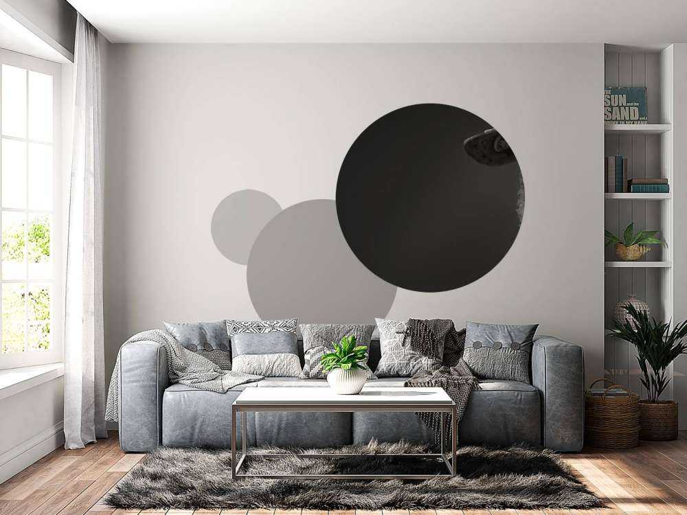 Nærbilde sauer svart og hvitt