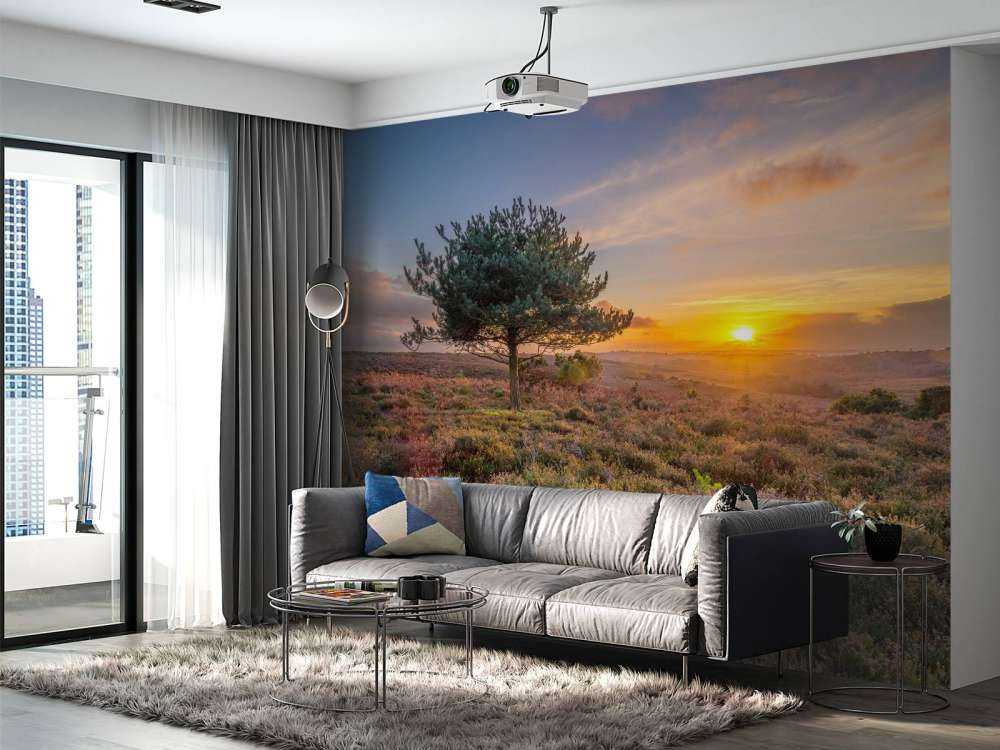 Solnedgang på heden