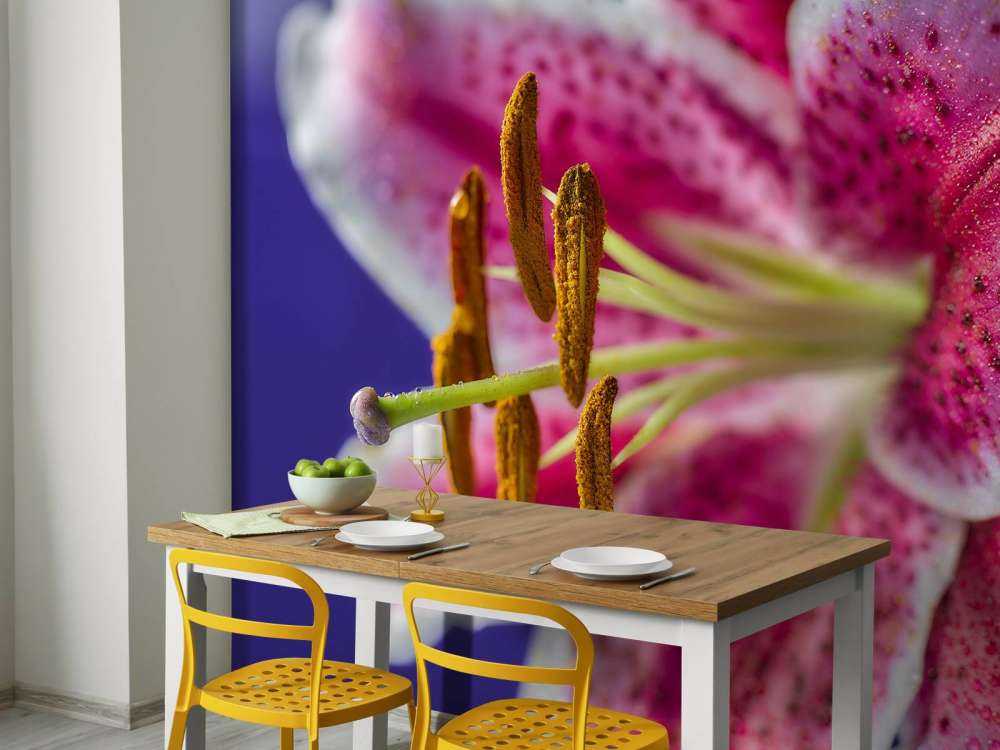 Nærbillede af lyserød blomst