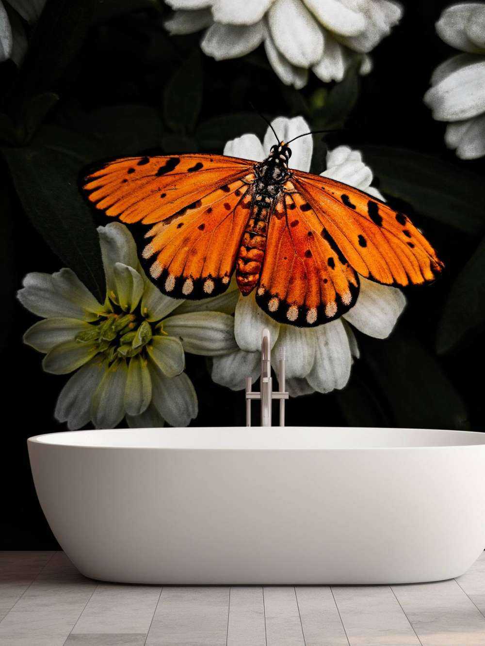 Monark-sommerfugl på en blomst