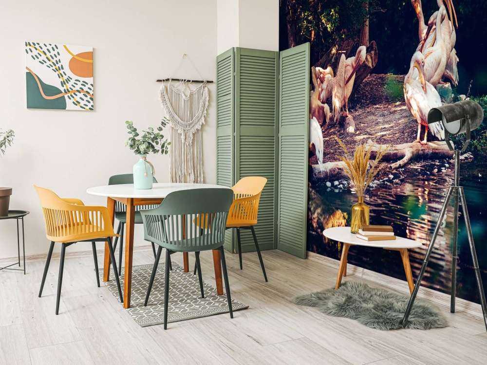 Pelikaner i zoologisk have