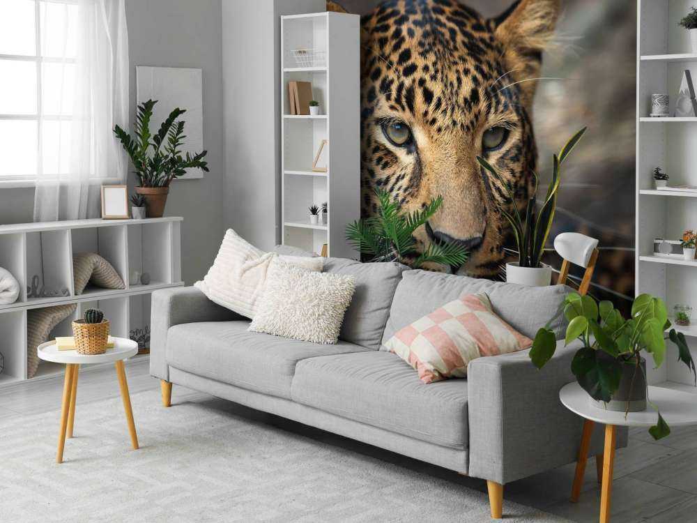 Luk op af en leopard