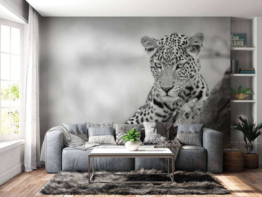 Leopard sort, hvid