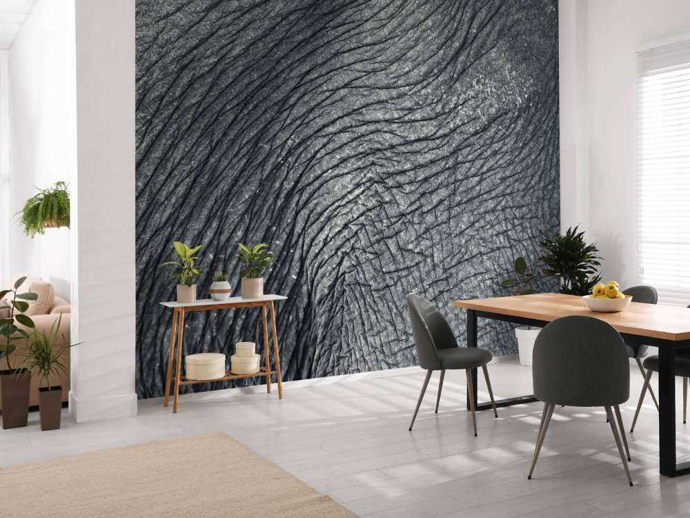 Nærbillede af elefantskind