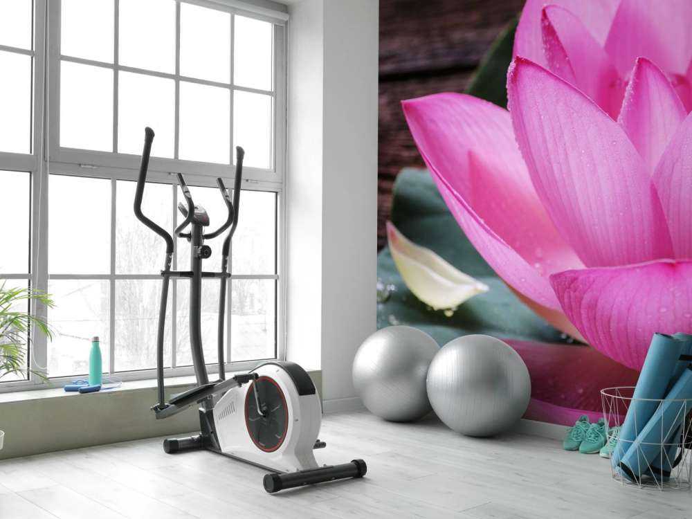 Nærbillede lyserød lotus