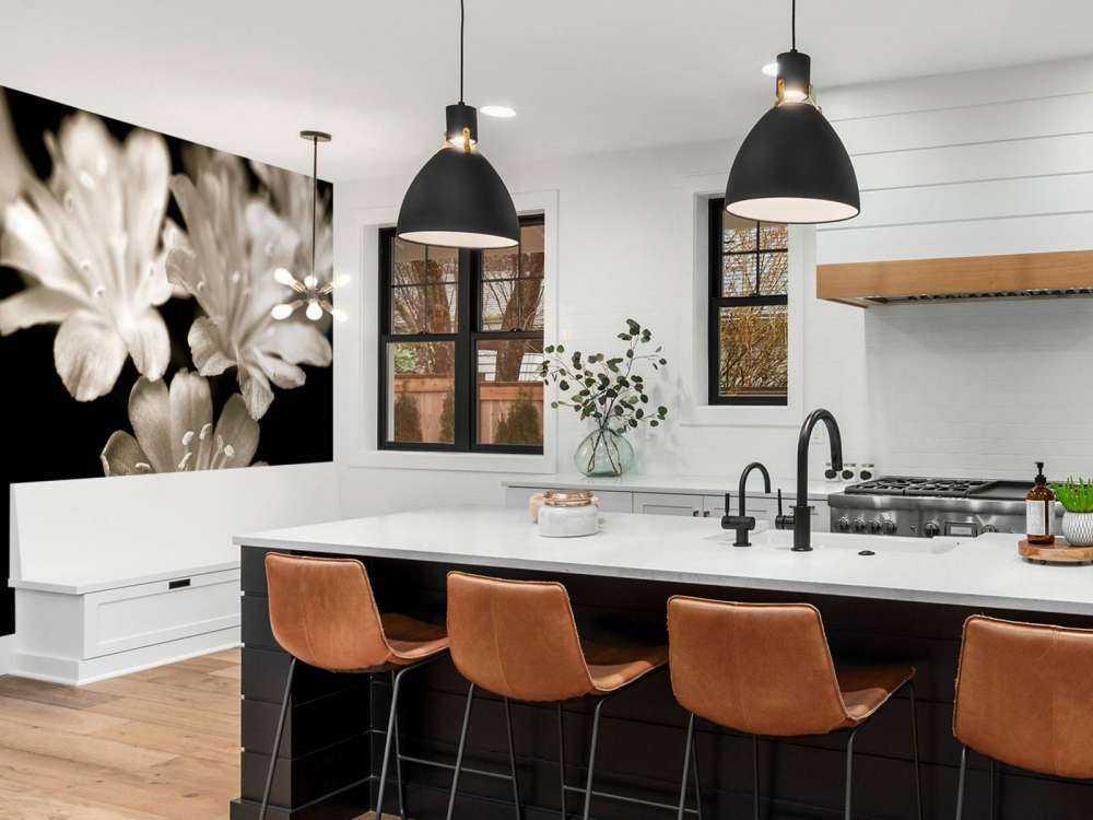 Lewisia-blomst i nærbillede